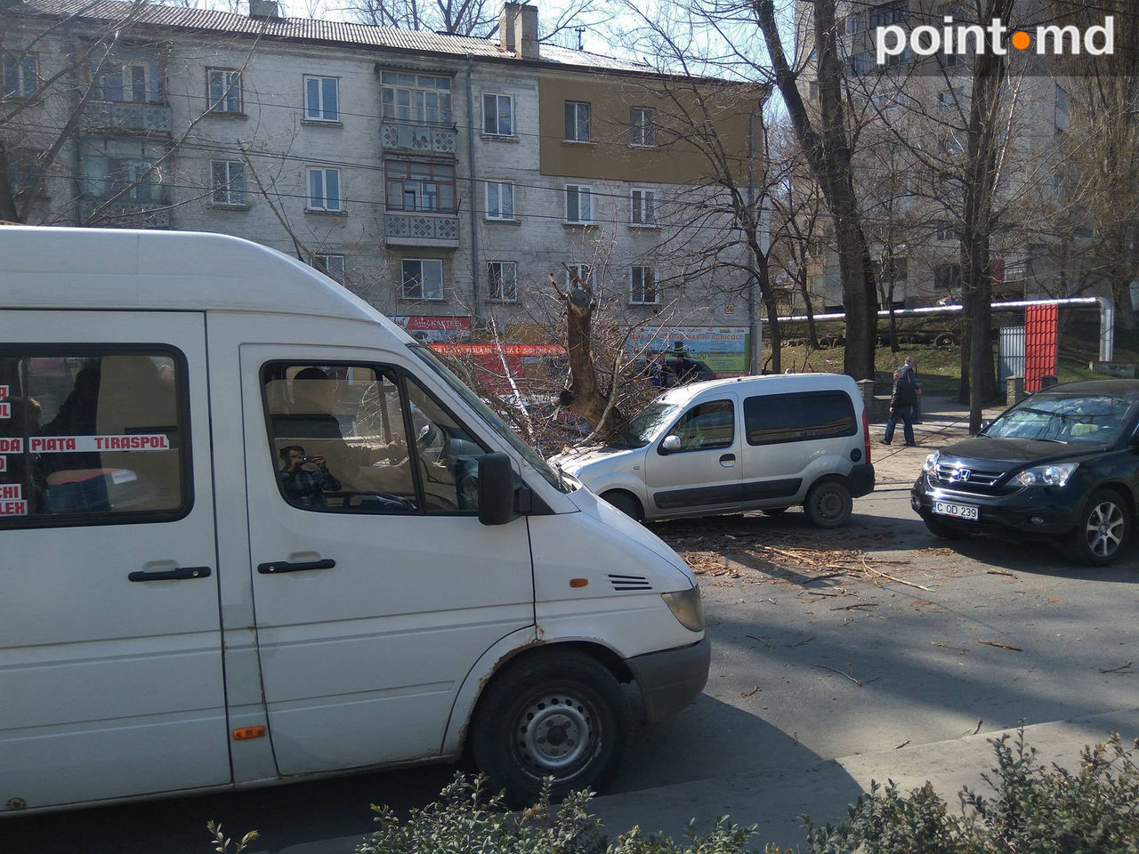 На Мунчештском шоссе рухнуло дерево на проезжую часть