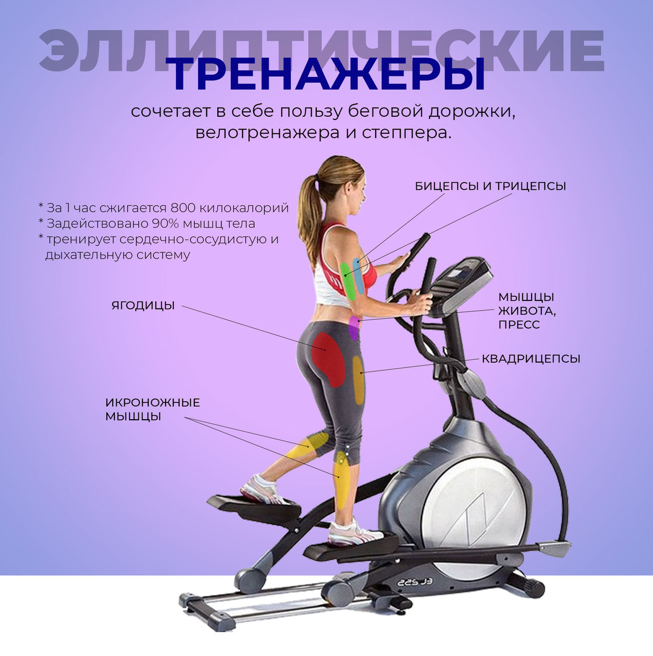 Giant: Немецкие тренажеры для дома - будьте здоровы всегда