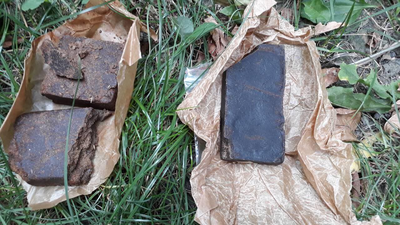 В Сороках задержали 14 наркоторговцев, ввозивших наркотики в Молдову из ЕС