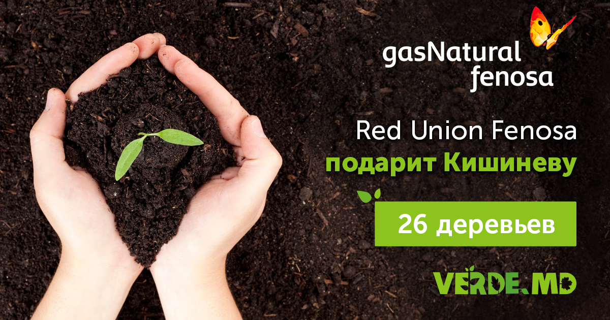 Red Union Fenosa подарит Кишиневу 26 деревьев