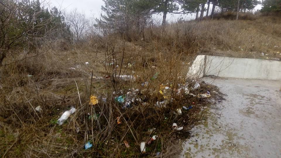 Вандалы осквернили мемориал ВОВ в Леушенах