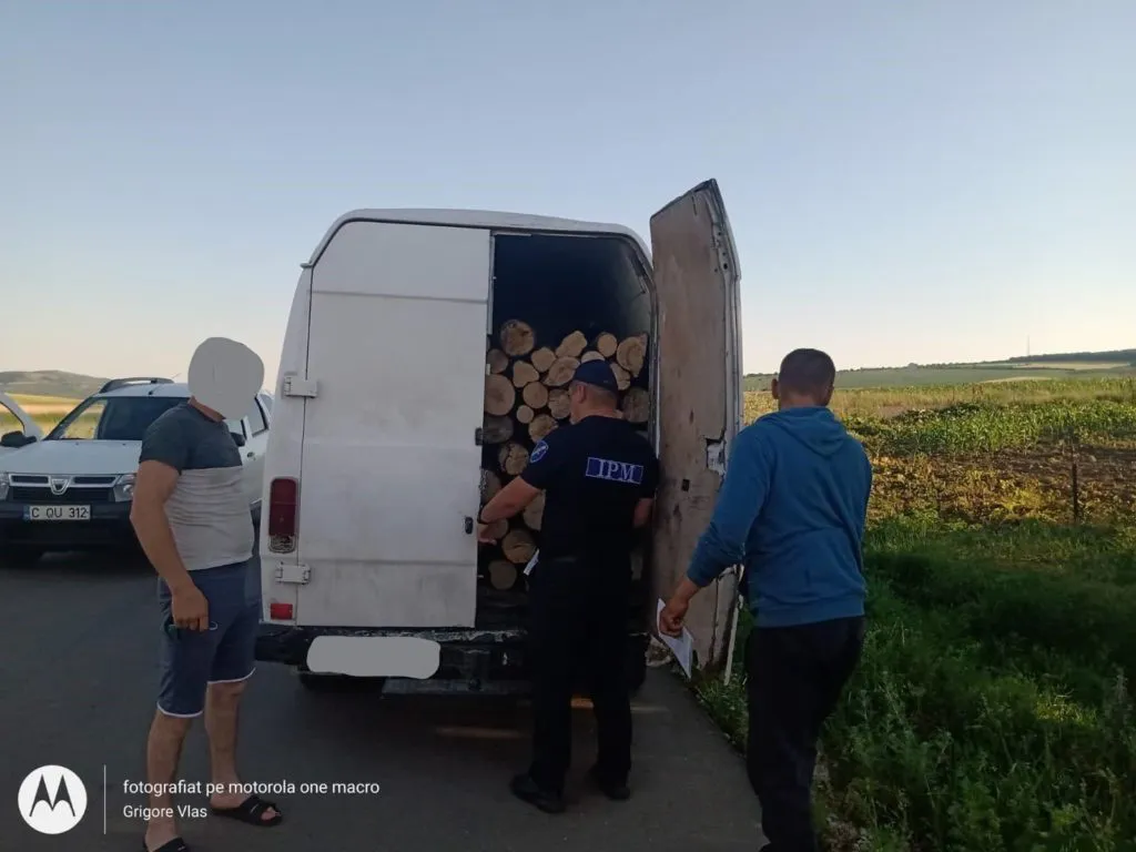 В Молдове двух водителей оштрафовали за незаконную перевозку дров