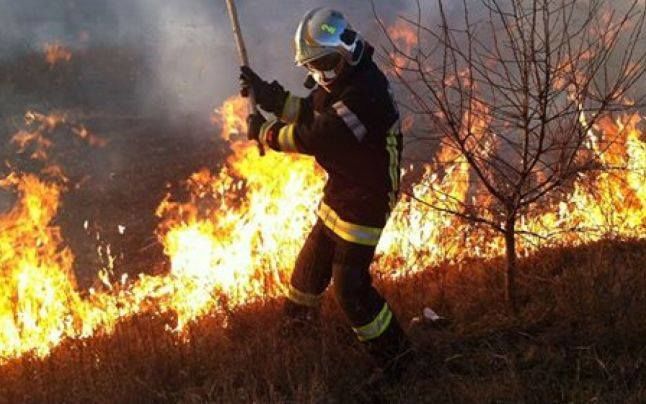 Пожарные потушили более 70 возгораний сухой растительности