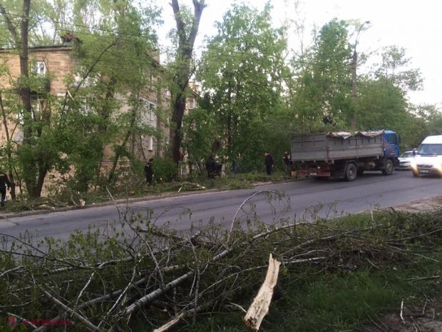 Mii de persoane evacuează crengile rupte. Chișinăuenii, îndemnați să folosească transportul public