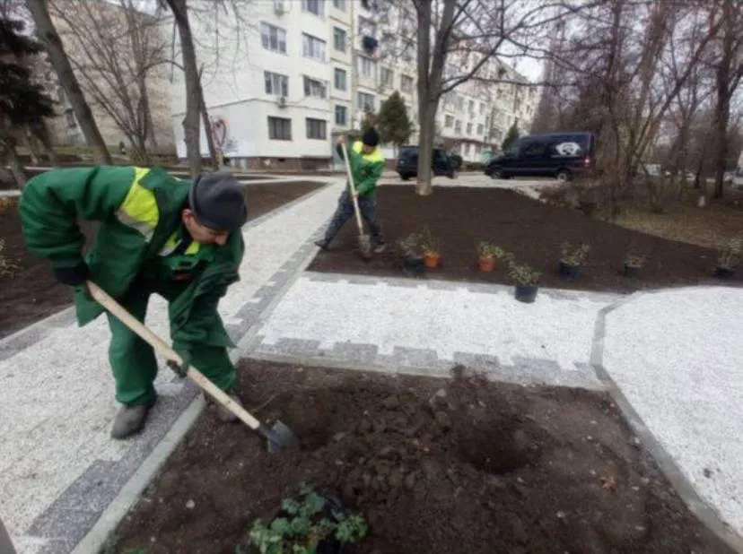 Посадка деревьев в Кишиневе продолжается