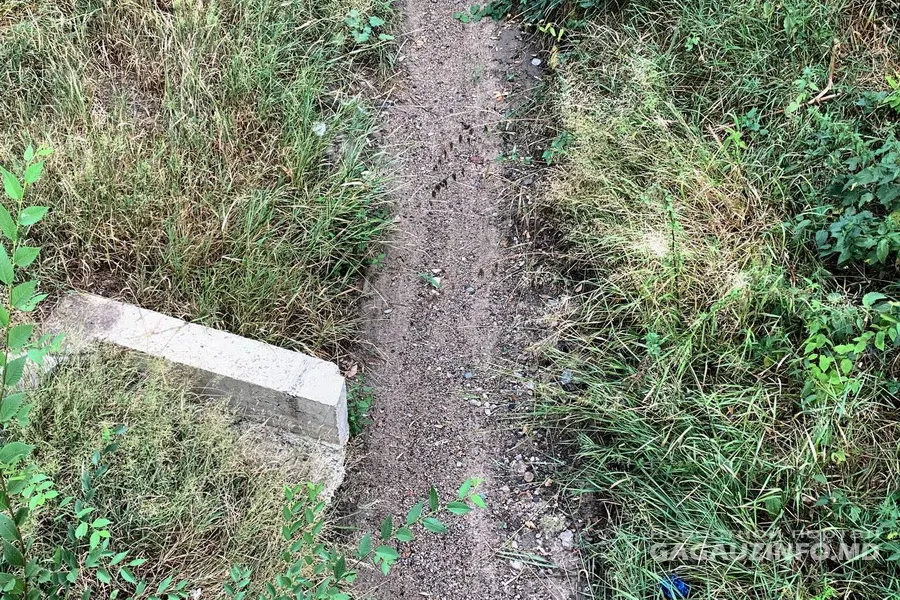 Ни капли воды: в Чадыр-Лунге пересохла река