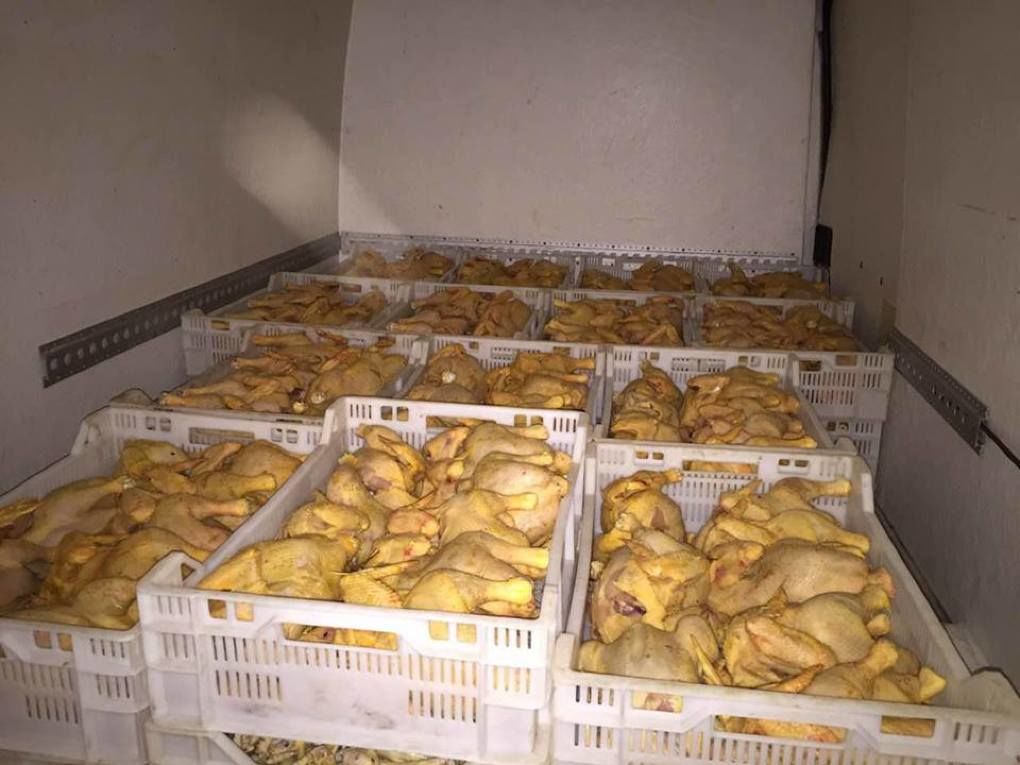 Полиция конфисковала 650 кг куриного мяса у жителя Криулян