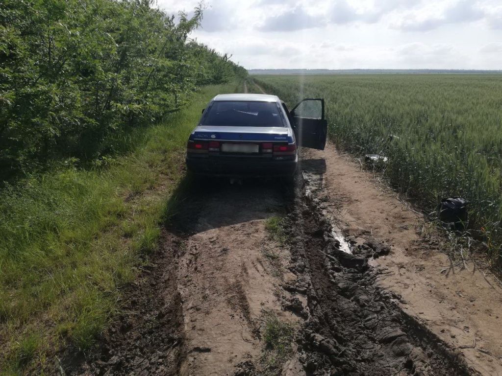 В лесополосе обнаружили труп 30-летнего жителя села Светлое, подозреваемые задержаны