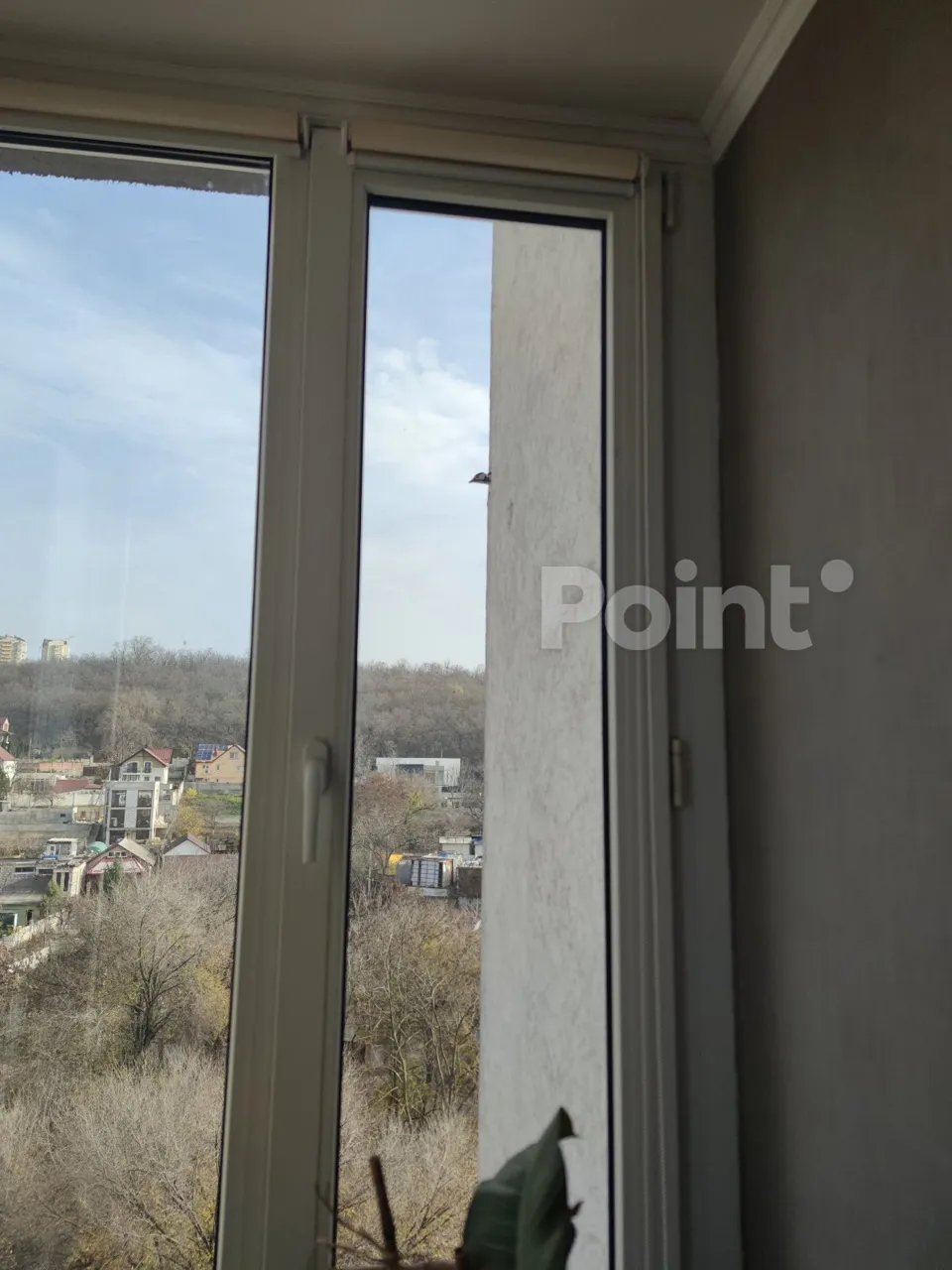 O ciocănitoare și-a făcut un cuib în fațada unui bloc de locuințe din Chișinău