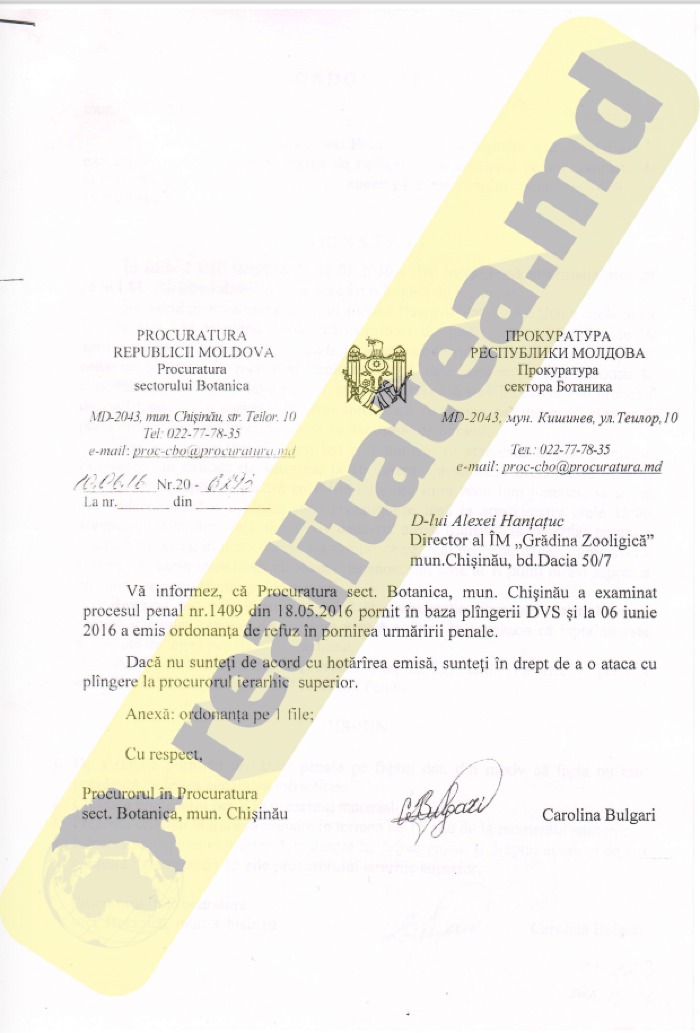 Случай отравления полярной волчицы в кишиневском зоопарке не будет расследоваться