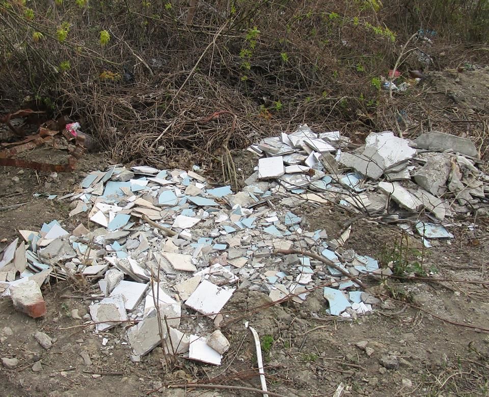 Воспитанники столичного детского сада гуляют рядом со свалкой
