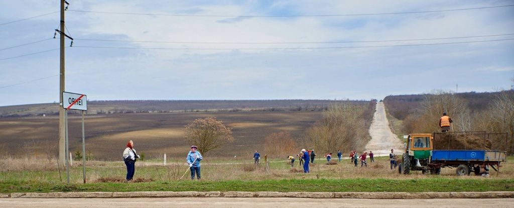 В Оргееве были проведены работы по уборке и озеленению города