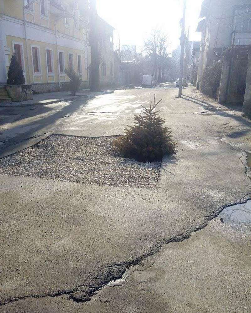 Огромную яму в центре Кишинева закрыли елкой