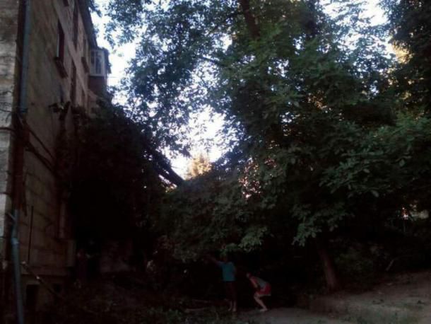 Un copac a căzut peste un bloc de locuit în sectorul Telecentru