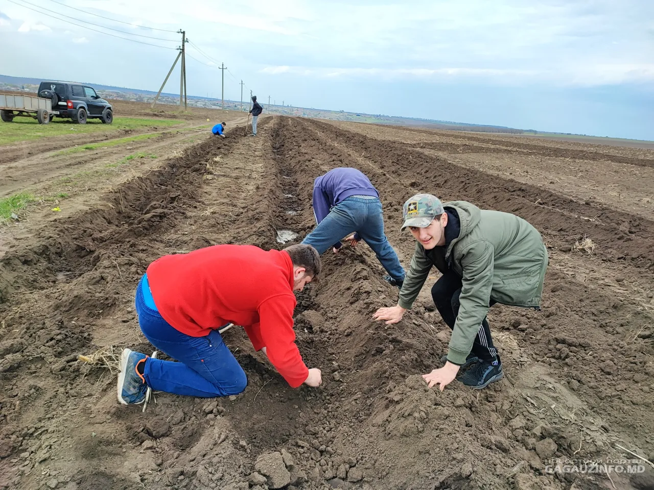 В Копчаке заложили новую лесополосу из 400 акаций
