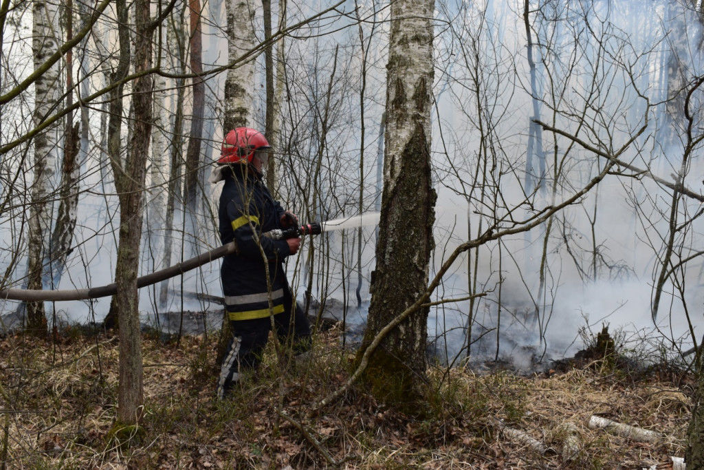 Украинские спасатели продолжают тушить пожар в районе ЧАЭС