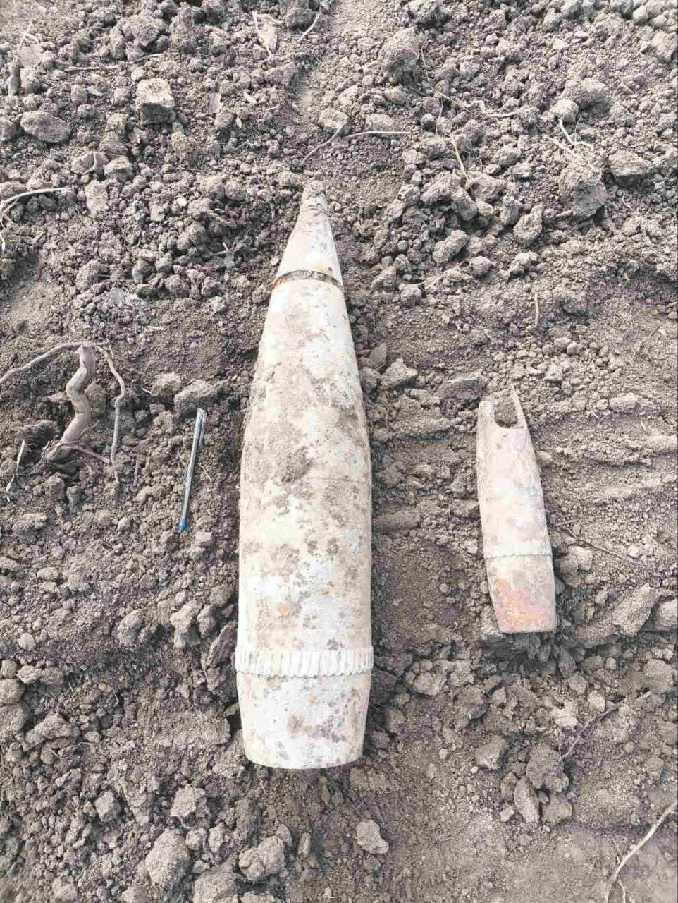 Peste 20 de obiecte explozive din perioada celui de-al Doilea Război Mondial, distruse la Ștefan Vodă