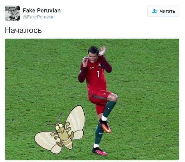 Плачущего Роналду и ночную бабочку превратили в мем