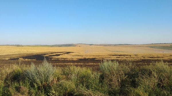 В Гагаузии пожарные ликвидировали возгорание на поле