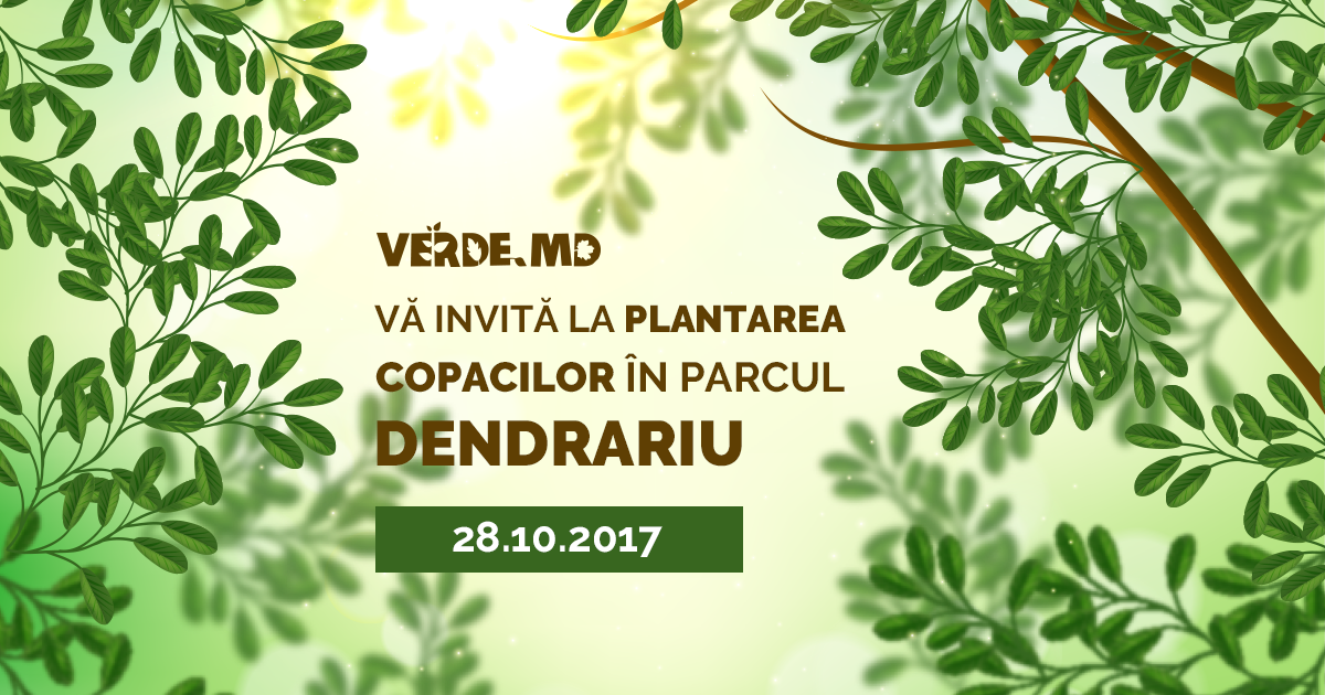 Verde.md vă invită la plantarea copacilor în parcul Dendrariu