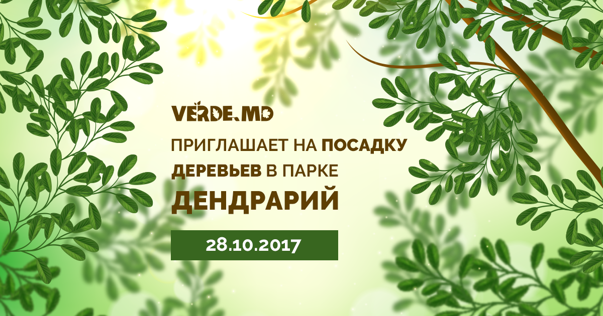 Verde.md приглашает на посадку деревьев в парке Дендрарий
