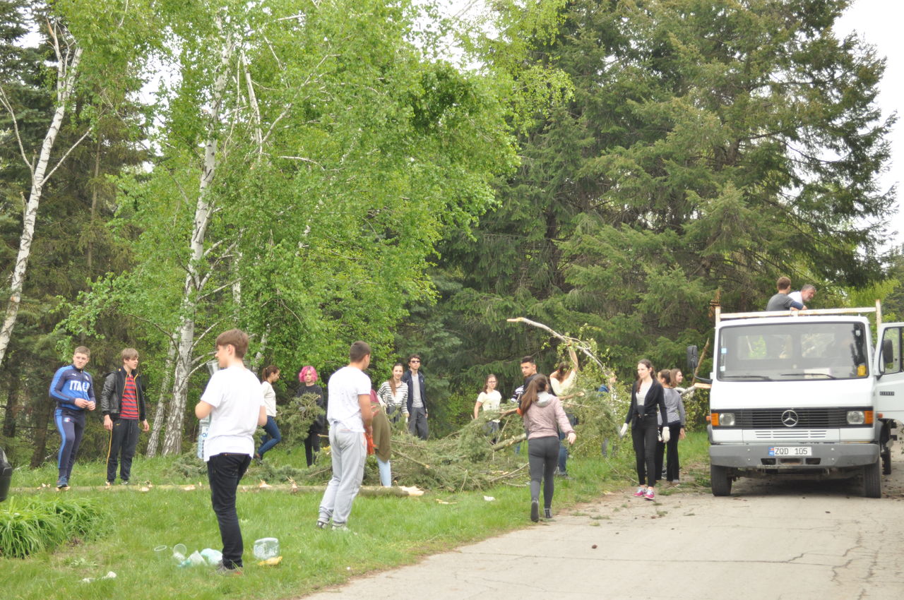 Peste 70 de voluntari au contribuit la salubrizarea Grădinii Botanice