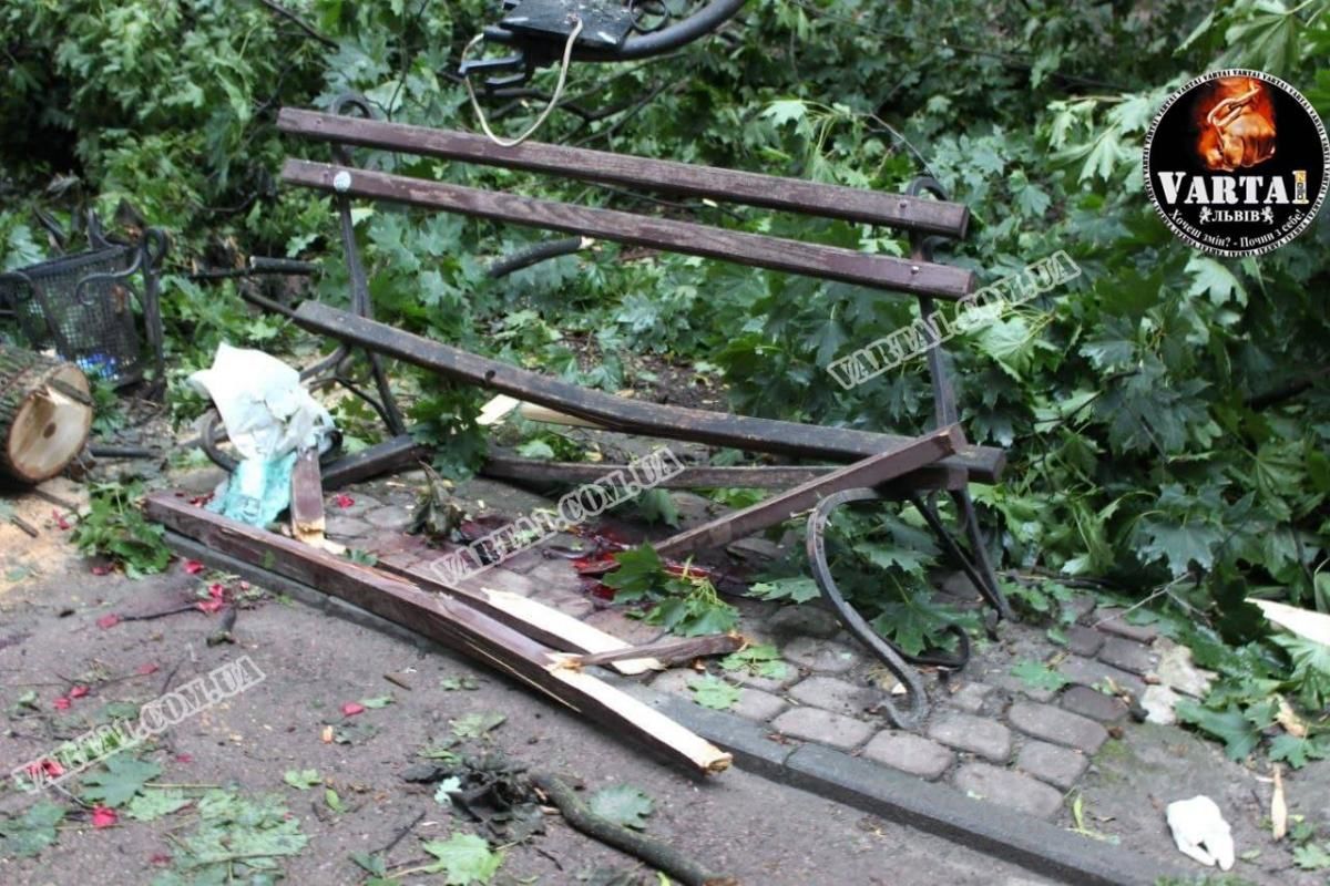 Погибли на свидании: во Львове во время урагана дерево упало на двух молодых людей