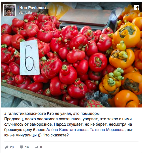 Roșii-mutant în piețele din Moldova. Cum arată otrava de 6 lei din farfurie