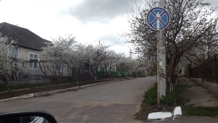 În oraşul Rezina a apărut un indicator "hibrid". Şoferii, puşi în dilemă