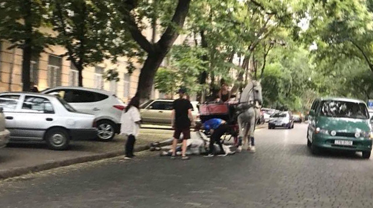 Лошадь упала в обморок во время катания туристов в Одессе