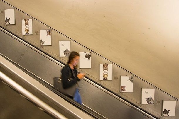В Лондоне на станции метро рекламу заменили котами