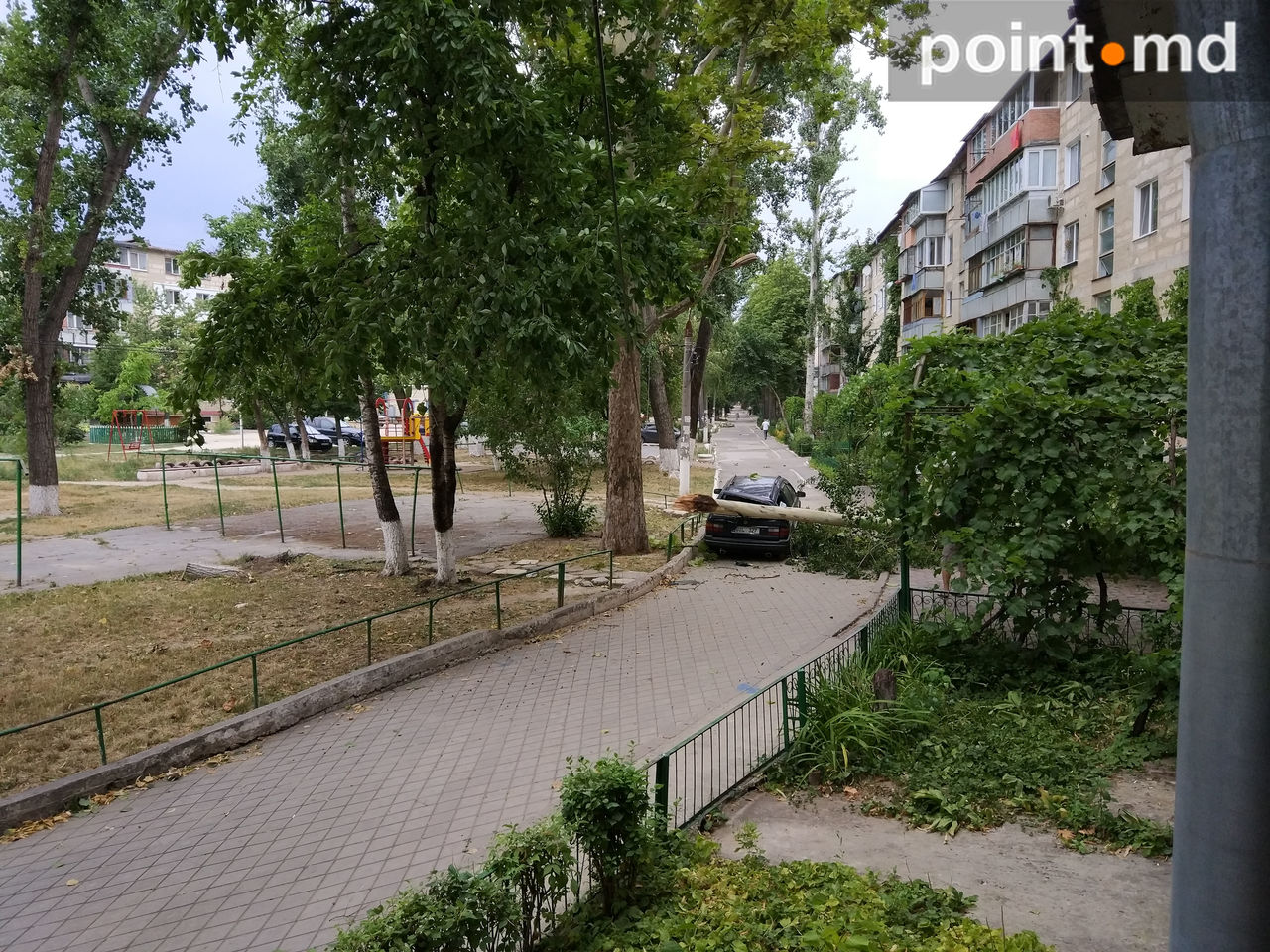 В Кишиневе огромная ветка упала на автомобиль