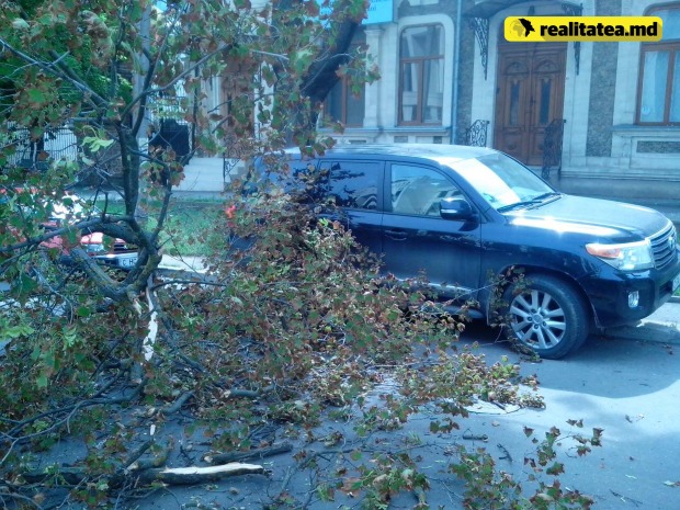 O creangă a căzut peste mașina șefului CFM, Iurie Topală