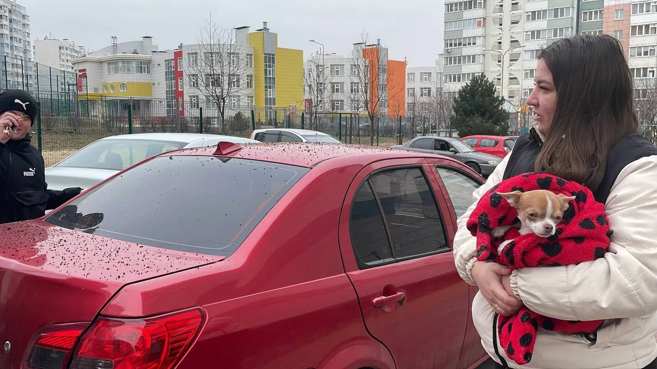 В результате удара по Белгороду погибла женщина