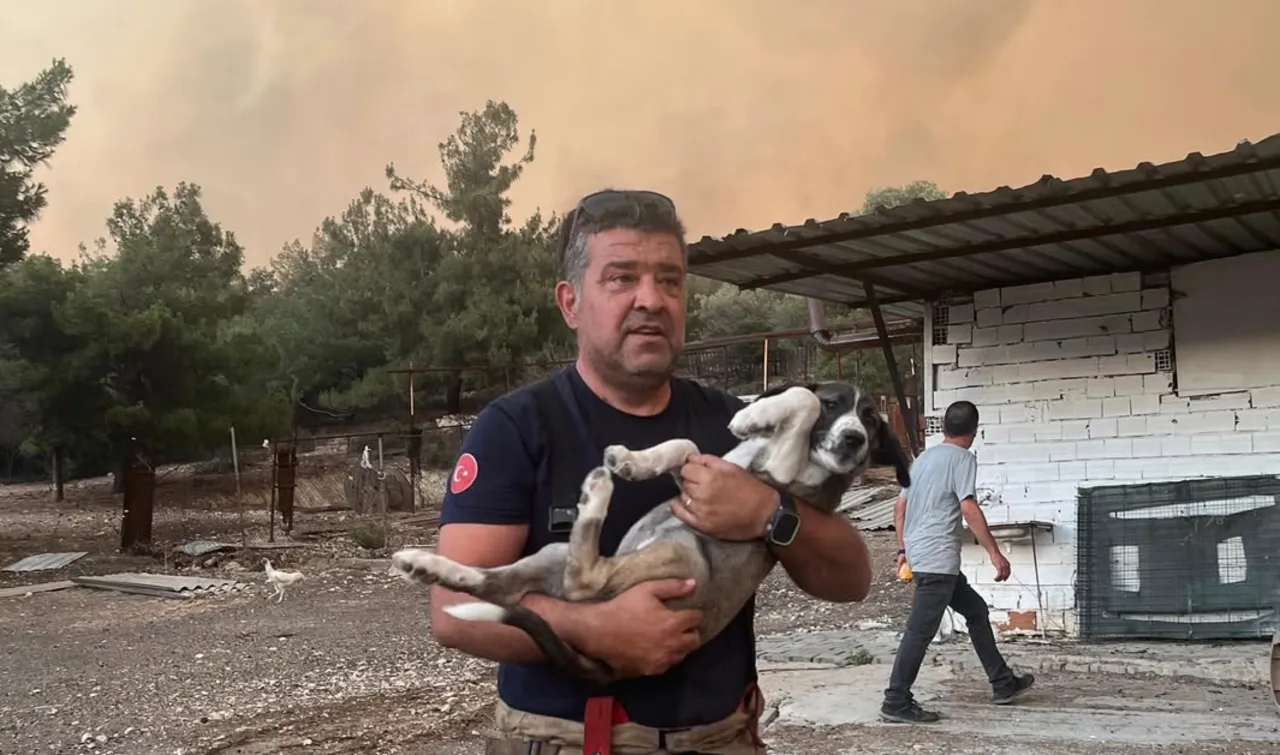 Incendiul de pădure din Izmir nu poate fi localizat deja de două zile