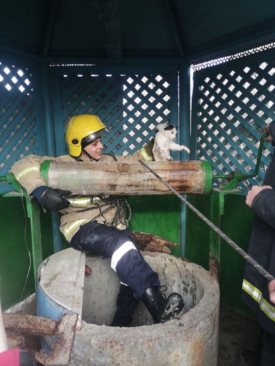В Каушанах спасли кошку, упавшую в колодец
