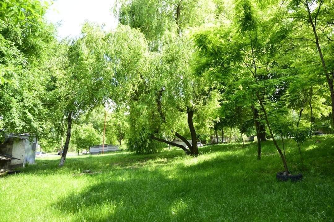 Начались работы по обустройству зелёной зоны у Мунчештского шоссе