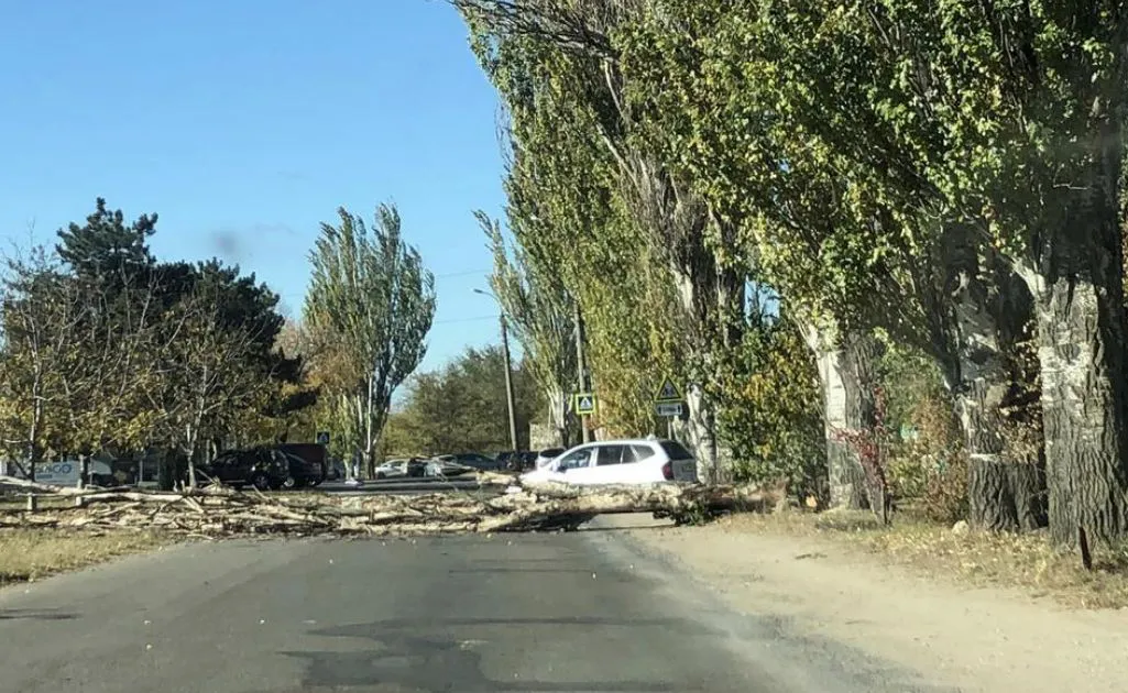 В Кишиневе на дорогу упало дерево