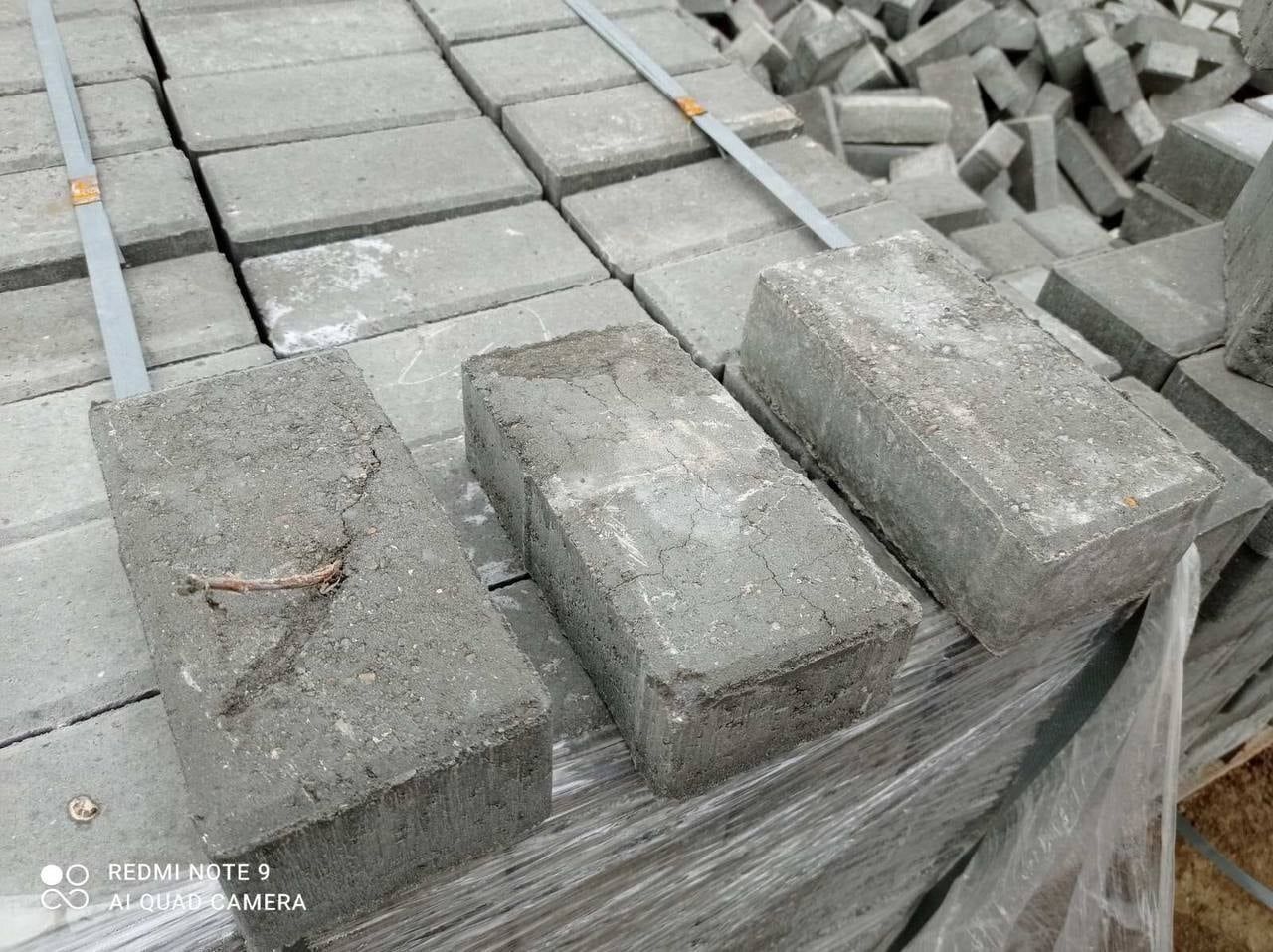 Чебан: Экономические агенты заплатят штрафы за недобросовестную работу