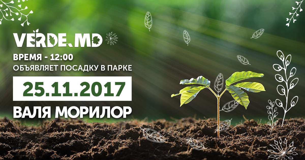 В парке Валя Морилор появится еще 20 деревьев