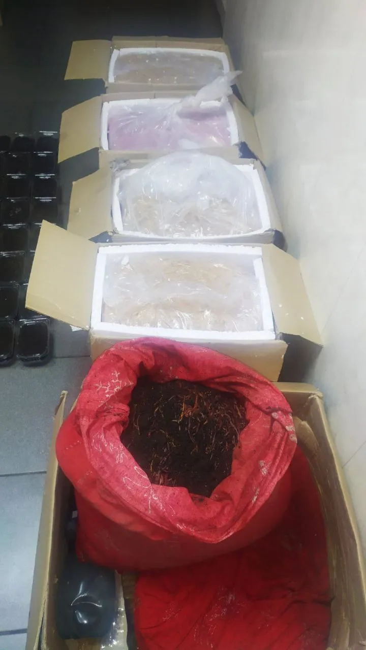 Пресечена попытка ввоза в страну партии мяса: НАБПП проводит проверку