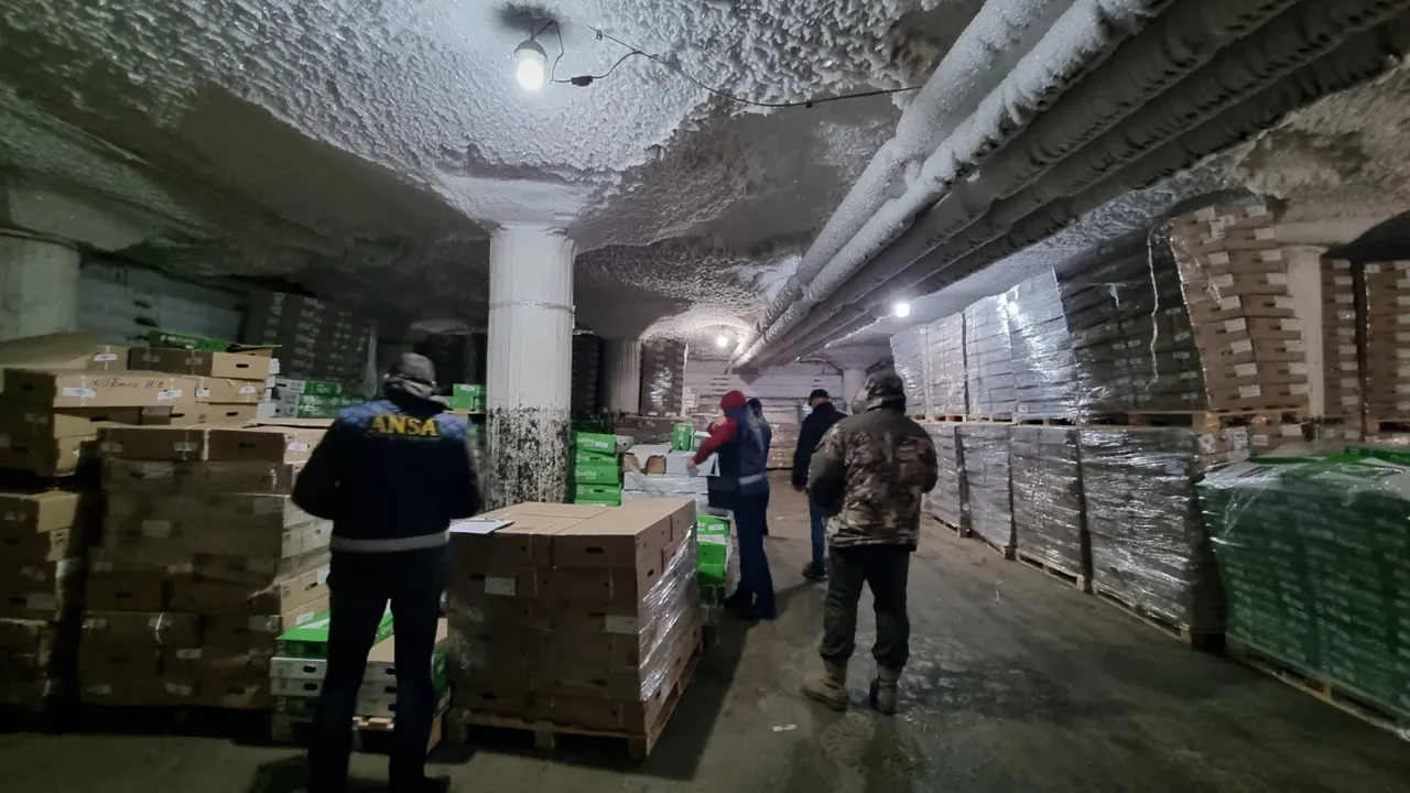 ANSA запретило к продаже 900 тысяч яиц с сальмонеллой и другие продукты