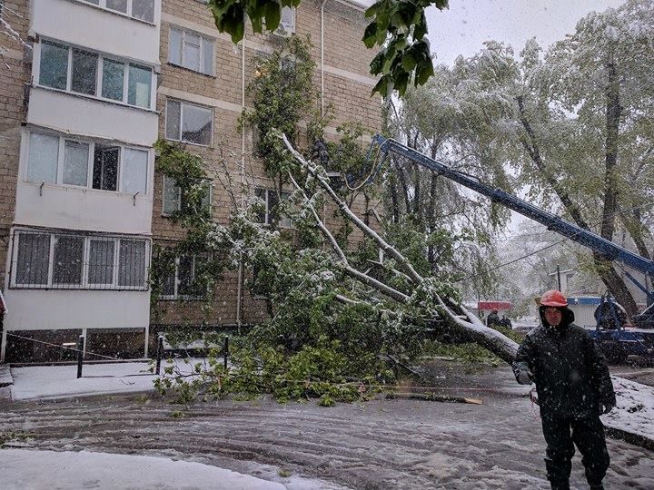 Кишинев завалило снегом