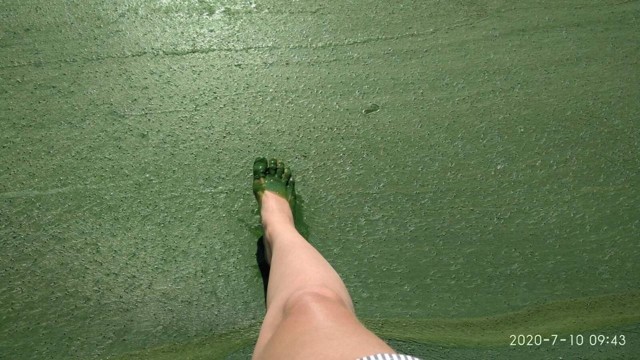 Вода в Кучурганском водохранилище стала зеленой из-за цветения водорослей