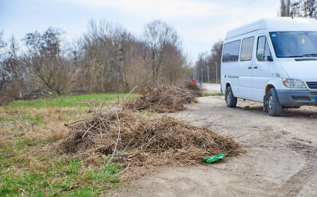 В Оргееве были проведены работы по уборке и озеленению города