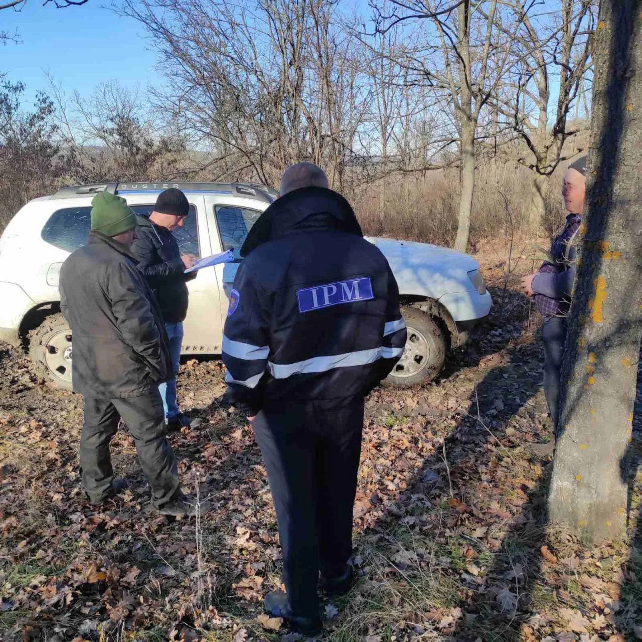 Inspectorii de mediu au identificat tăieri ilegale de stejari la Telenești