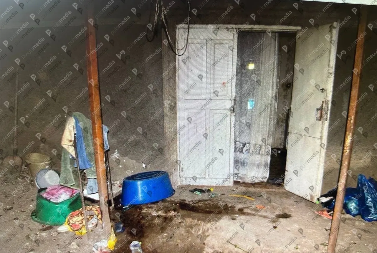 Adolescentul care și-a ucis mama a comis crima în fața fraților săi mai mici