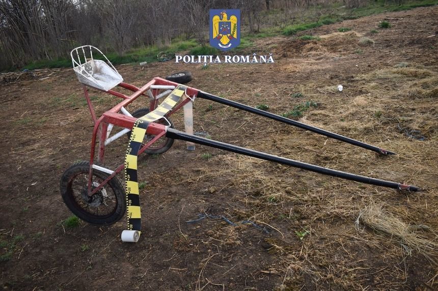 В Румынии проводили незаконные скачки: 4 человека под следствием