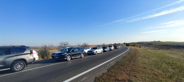 Участники автопробега в поддержку Стояногло заблокировали въезд в Гагаузию