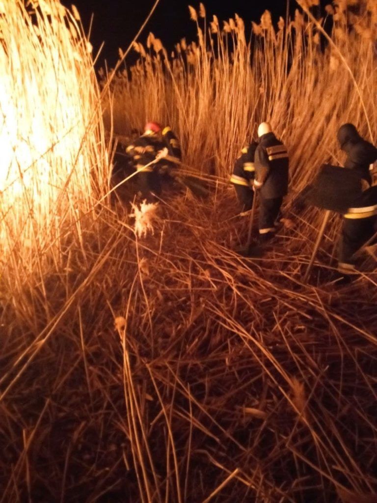 В заповеднике “Прутул де жос” потушили крупный пожар